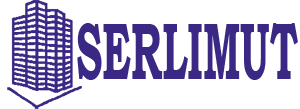 branding logo
